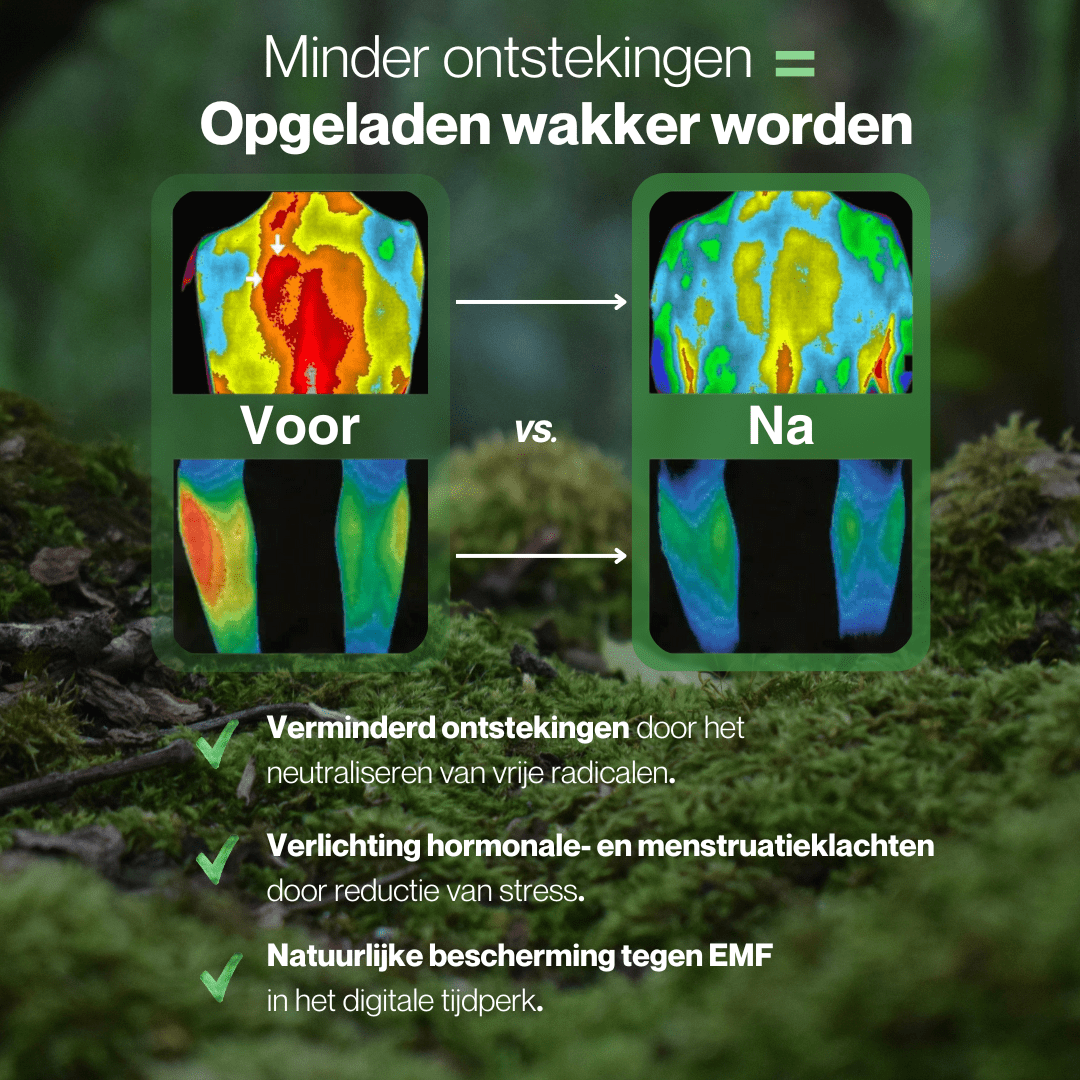Aardingslaken King Size